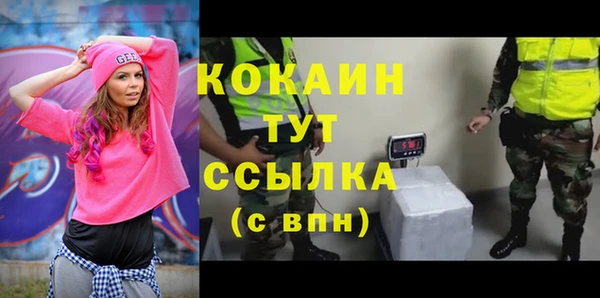 хмурый Лиски