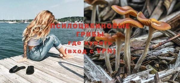 хмурый Лиски