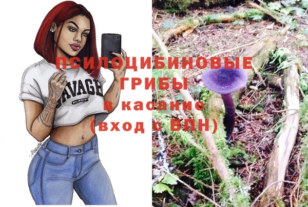 хмурый Лиски