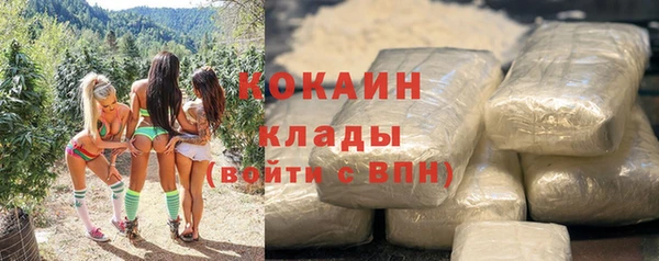 хмурый Лиски