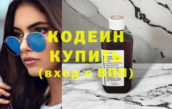хмурый Лиски