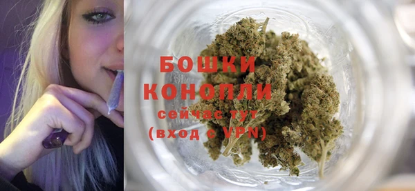 хмурый Лиски