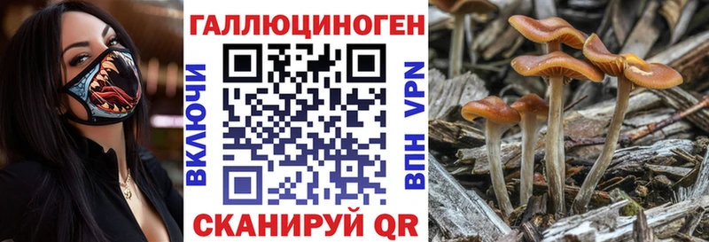 Галлюциногенные грибы ЛСД  где купить наркоту  Оханск 